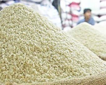 سودجویان برنج شمال را احتکار کرده‌اند/ گره کار کجاست؟
