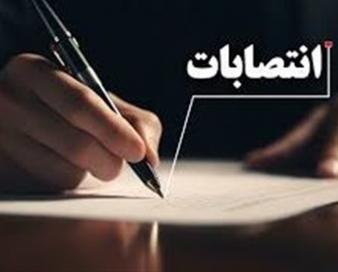 سازمان استاندارد از کالاهای صادرات‌محور حمایت می‌کند