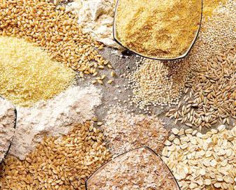 تخصیص ۸.۷ میلیارد دلار برای واردات کالاهای اساسی تا پایان دی ماه