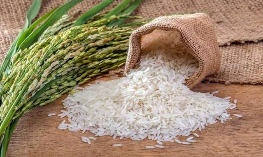 اتخاذ سیاست‌های کارشناسی برای ساماندهی بازار برنج/ نباید در زمان بحران فقط به دنبال راهکار بود