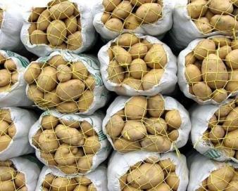 بازار سیب‌زمینی هفته آینده متعادل می‌شود