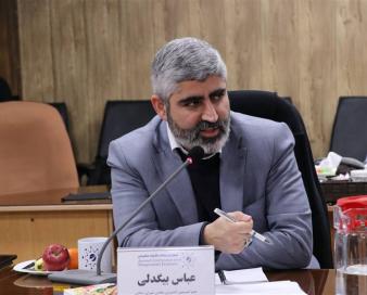 بیگدلی: همتی به عدم تحقق درآمدهای مالیاتی افتخار می‌کند