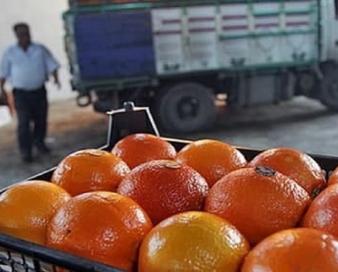 مازندران قطب بسته‌بندی و سردخانه‌های مرکبات