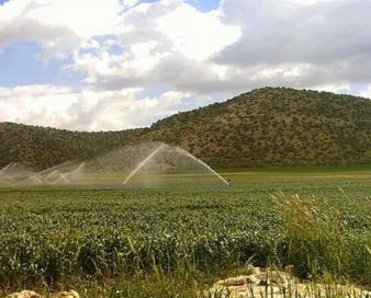 تجهیز ۳ میلیون و ۱۴۰ هزارهکتار اراضی آبی به سامانه نوین آبیاری