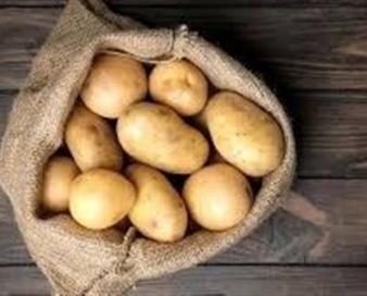 واردات سیب زمینی تا اردیبهشت ادامه دارد