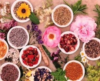 صادرات 8 میلیون دلاری گیاهان دارویی از استان فارس‌