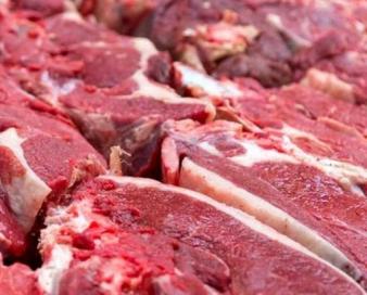 آغاز توزیع گوشت گوساله گرم وارداتی در مشهد