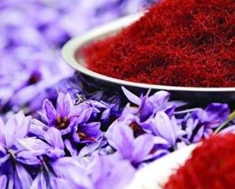 ایران یک سوم ظرفیت زعفران تولید می‌کند