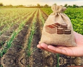 سرمایه گذاری برای محصول جدید صنعت کشاورزی؛ در دل فناوری FRI چه می‌گذرد