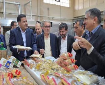 آرد بلوط در کهگیلویه و بویراحمد راهی برای بی‌نیازی از واردات گندم