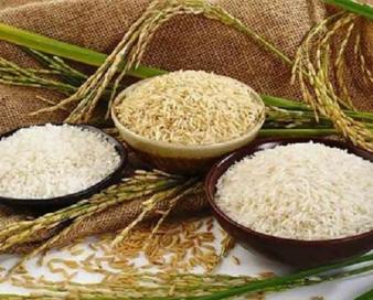 حذف واردات برنج‌های با کیفیت برای صرفه‌جویی ارزی