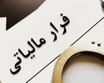 تقویت حسابرسی سیستمی در راستای حمایت هدفمند از تولید است