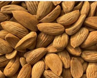 در سال گذشته ۲۹ میلیون دلار بادام از چهارمحال و بختیاری صادر شد