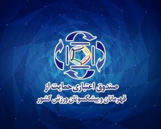 ارائه خدمات رایگان بیمه تکمیلی به قهرمانان و پیشکسوتان ورزش