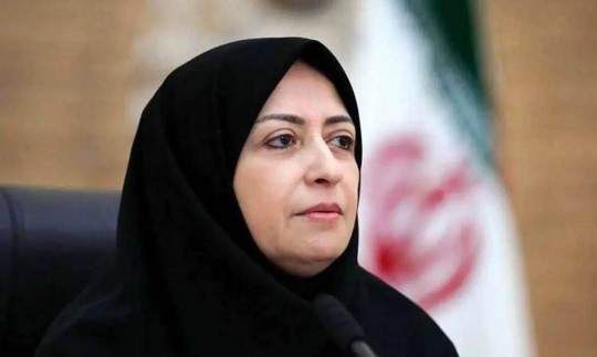چند نوبت آب هیرمند به سمت ایران هدایت شد ولی باز هم کافی نیست/ تقویت دیپلماسی در حوزه مقابله با گرد و غبار مهم است