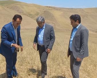 پیش بینی پرداخت ۱۳ همت غرامت بابت خشکسالی و سرمازدگی در کشور