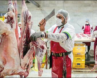 عرضه گوشت تنظیم بازار در فروشگاه‌های زنجیره افزایش می‌یابد