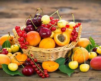 فرصت طلایی برای باغداران مازندرانی؛ دلال‌ها را حذف می‌کنیم، صادرکنندگان را حمایت
