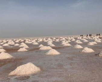 ممنوعیت واردات هرنوع نمک به افغانستان