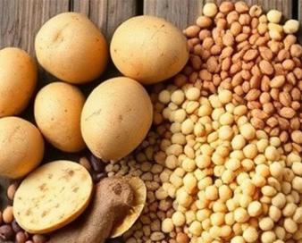 ابلاغ ممنوعیت صادرات حبوبات به گمرکات سراسر کشور