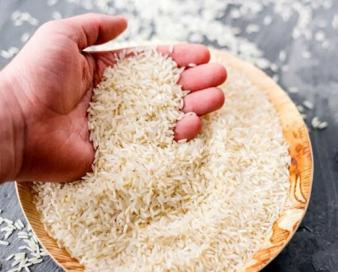 قصه رنج و گنج برنج؛ کشاورز و مردم ناراضی اما دلال راضی