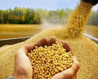 مسئله استفاده از فناوری در قطع وابستگی است؛ برای ما شرکت وفرد مهم نیست
