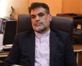 تشریح تلاش‌های مجلس برای احیای صنعت فرش دستبافت
