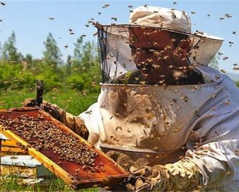 شیرین شدن کام خارجی‌ها با عسل خراسان جنوبی
