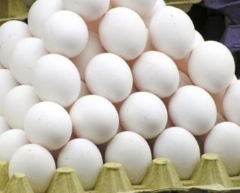 صادرات تخم مرغ به بیش از ۴۰ هزارتن رسید
