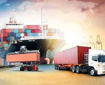 دستورکار اصلاح فوری یا بازطراحی سامانه تجارت/واردات سگ و گربه از اوراسیا کذب است