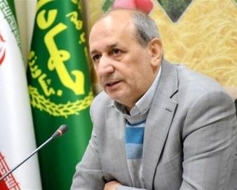 حداقل 50 درصد درآمد کشاورزان باید از طریق بیمه پوشش داده شود