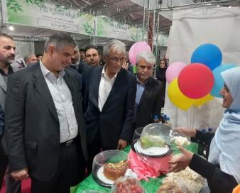 استاندار: پسته زرندیه طلای سبز صادراتی در مسیر جهانی شدن است
