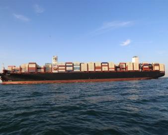 شفاف سازی «حکشتی» در خصوص ایفای تعهدات ارزی