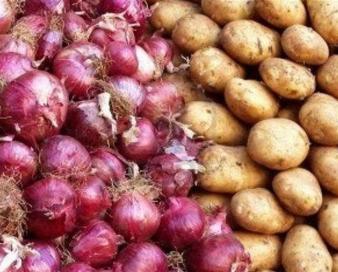 هستهای در کشاورزی ــ 41 | جلوگیری از جوانهزدن سیبزمینی و پیاز با فناوری هستهای