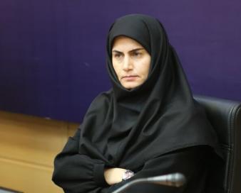 مرادخانی: سهم زیتون زنجان در سبد صادارتی ناچیز است