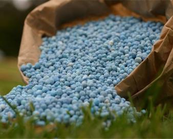 قیمت کود 11 برابر افزایش یافت