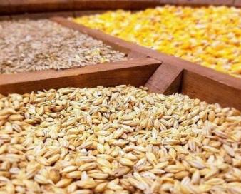 ترخیص بخشی از نهادههای دامی از ۷ مهر ماه