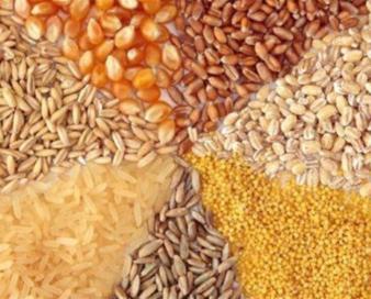 ضوابط جدید واردات نهاده‌های دامی اعلام شد