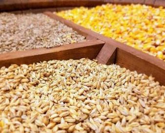 عتباتی: نهاده های دامی از گمرکات آذربایجان غربی ترخیص شود