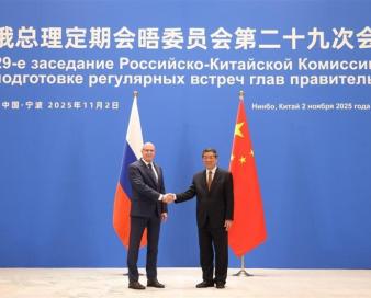 پکن: چین آماده است همراه با روسیه از نظام تجارت چندجانبه حمایت کند