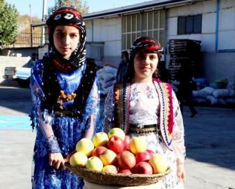 جشنواره سیب بروجرد برگزار شد