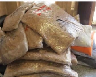 کشف ۲۷ کیلوگرم شیره تریاک از یک دستگاه کامیون توسط مأموران گمرک