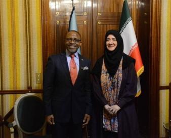 توسعه همکاریهای مشترک ایران و آفریقای جنوبی در حوزه صنایعدستی