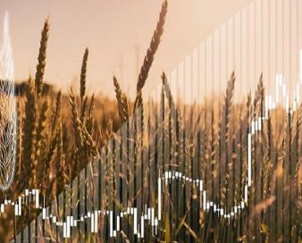 بریکس در مسیر تبدیل‌شدن به قطب جهانی امنیت غذایی