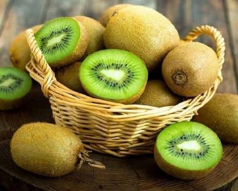 صادرات ۱۹۱۵ تن کیوی از بندر نوشهر