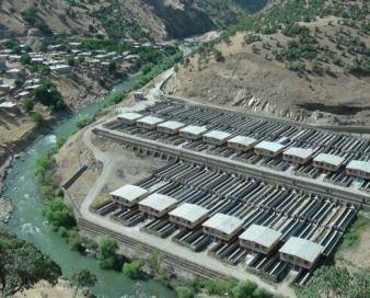 تولید سالانه ۵ هزار و ۵۷۷ تن آبزی در کردستان / صادرات ۶۰۰ تن به داخل و خارج از کشور