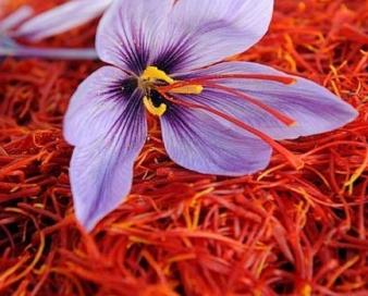 پیش بینی صادرات زعفران به ۲۱۴ تن تا پایان سال