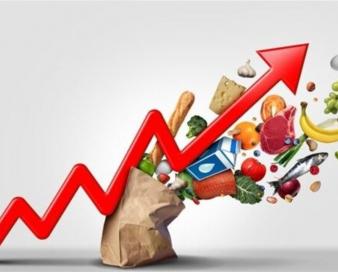 شوک تورمی مواد غذایی در دنیا/شمار گرسنههای جهان در حال افزایش