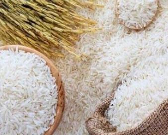 ضرورت واردات حداقل ۵۰۰ هزارتن برنج تا پایان سال