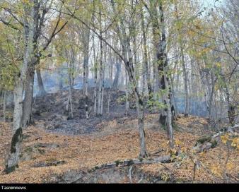«نجات آب» ــ 52 | صیانت از پوشش گیاهی بالادست حوضه آبریز